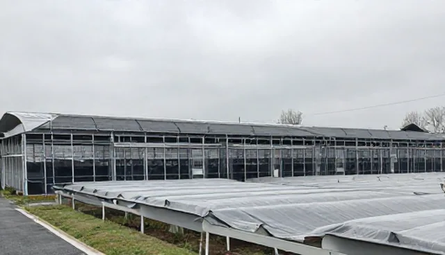 仓储保鲜适用情况的误区澄清与选型关注点